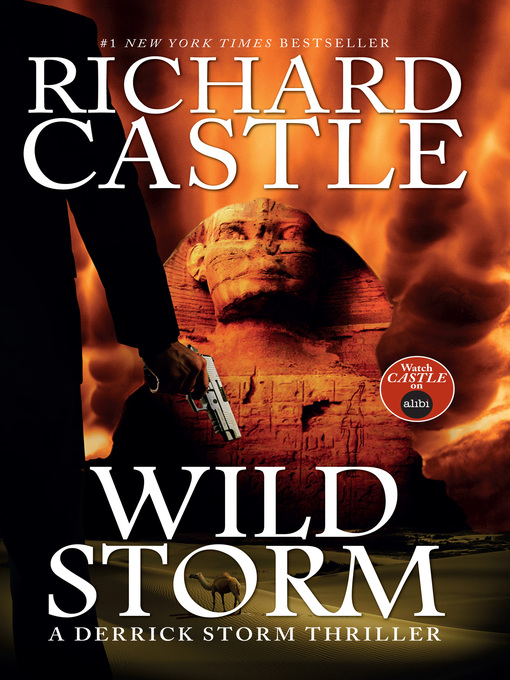 Title details for Wild Storm by Richard Castle - Available
